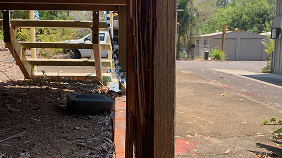 Termite infestation outside on the underside of a deck.